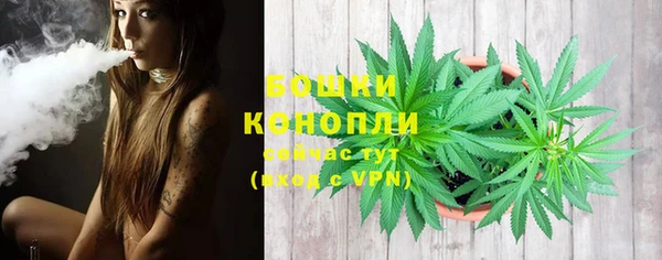 спайс Белокуриха