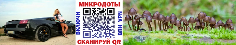Галлюциногенные грибы мицелий  Воркута 