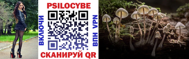 Псилоцибиновые грибы Psilocybe Воркута